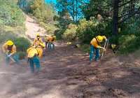 El Ayuntamiento de Gilet sigue realizando acciones dentro de su plan de gestión forestal y prevención de incendios