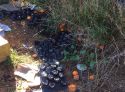 Vecinos de la montaña saguntina demandan a los trabajadores que recojan su basura tras coger la naranja
